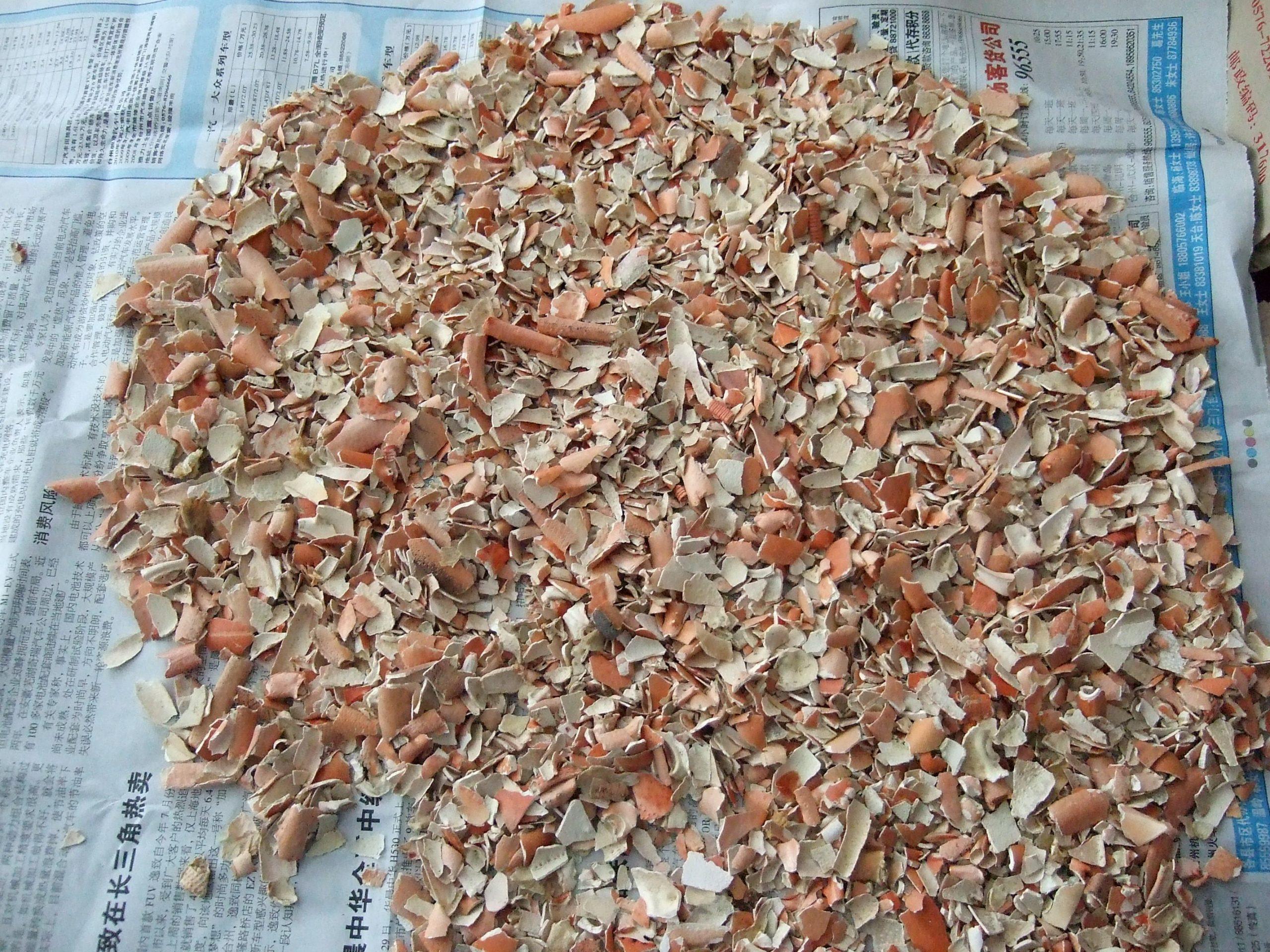 DRIED CRAB SHELL