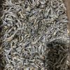 dried anchovy