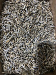 dried anchovy