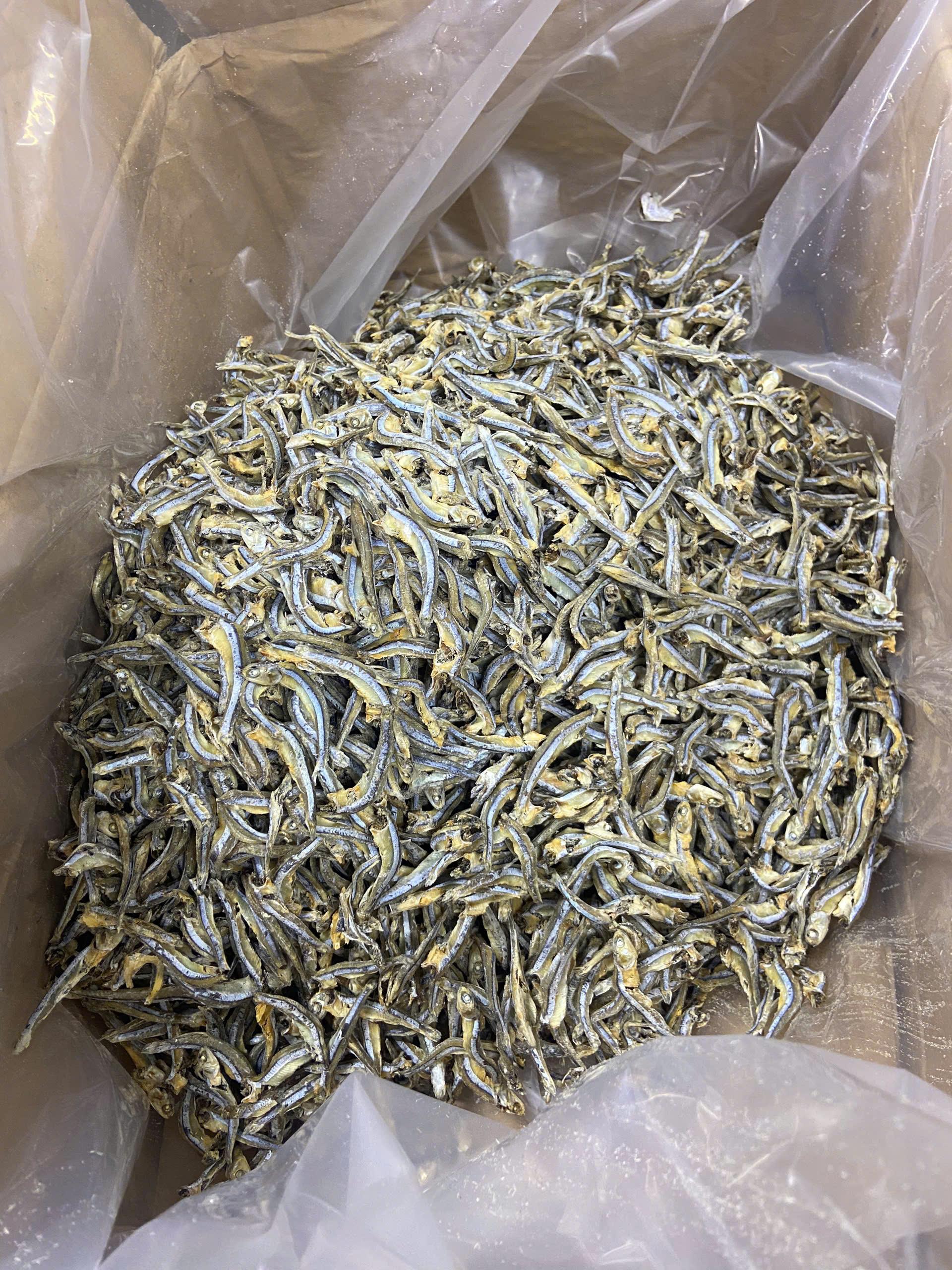 dried anchovy