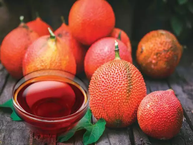 GAC FRUIT - Image 5