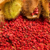annatto seeds