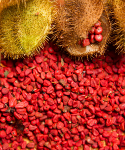 annatto seeds