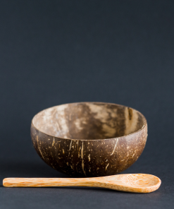 Alternative view of COCONUT BOWL SHELL