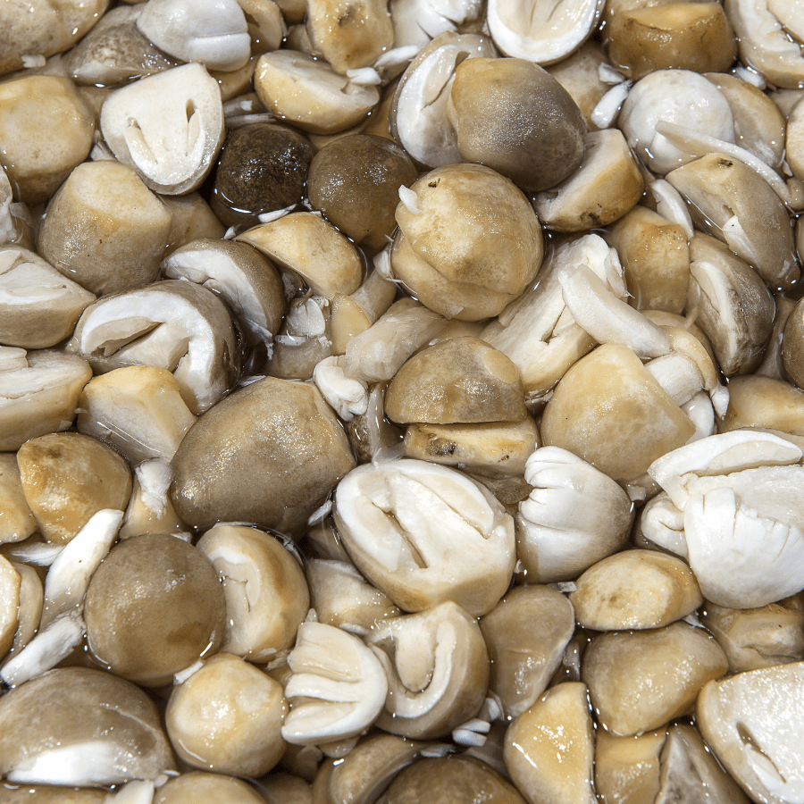CANNED STRAW MUSHROOM - Image 4