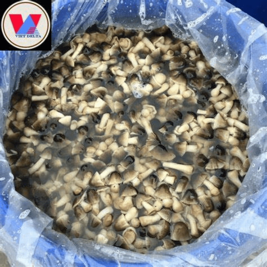 CANNED STRAW MUSHROOM - Image 6