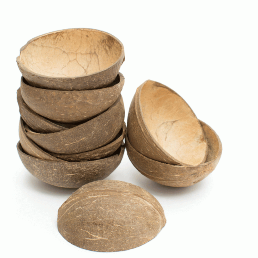 COCONUT BOWL SHELL - Image 4