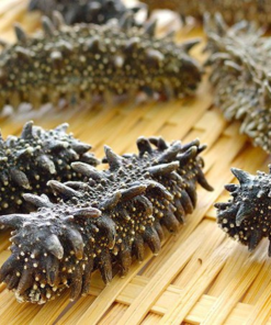 DRIED SEA CUCUMBERS