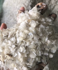 Alternative view of Dried Fish Scales