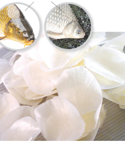 Dried Fish Scales