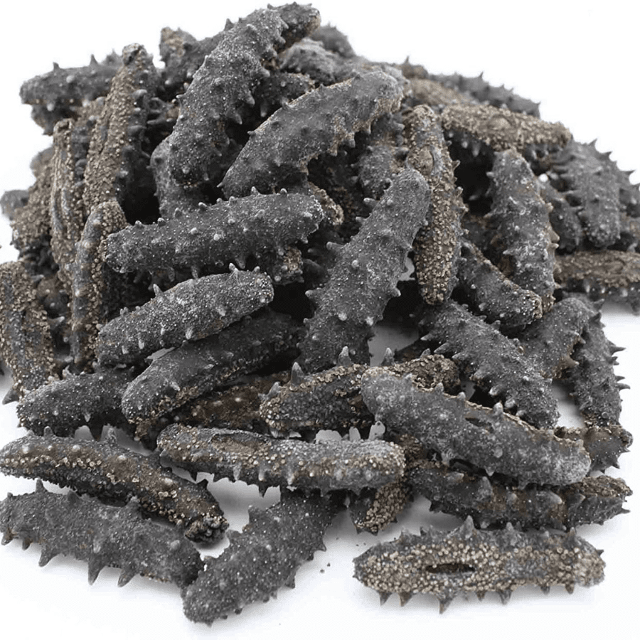 DRIED SEA CUCUMBERS - Image 6