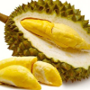 durian fruits