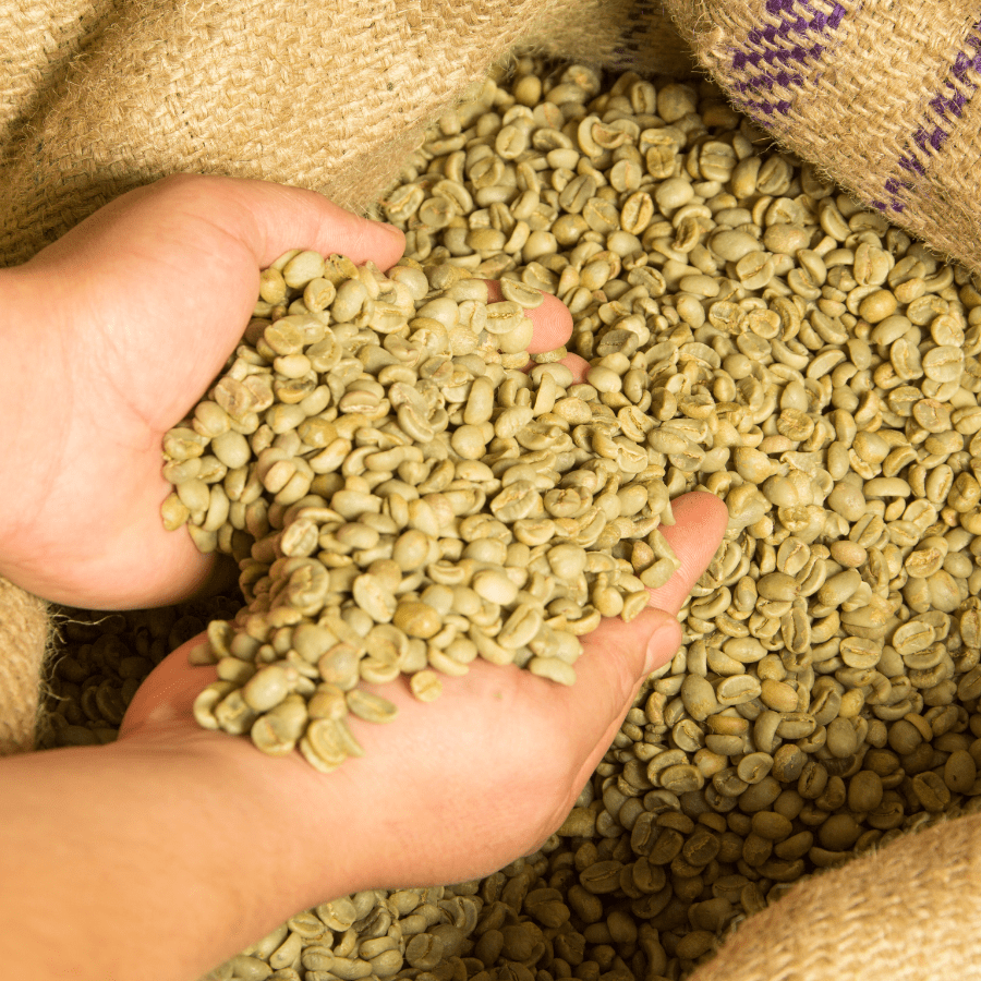 COFFEE BEAN - Image 3