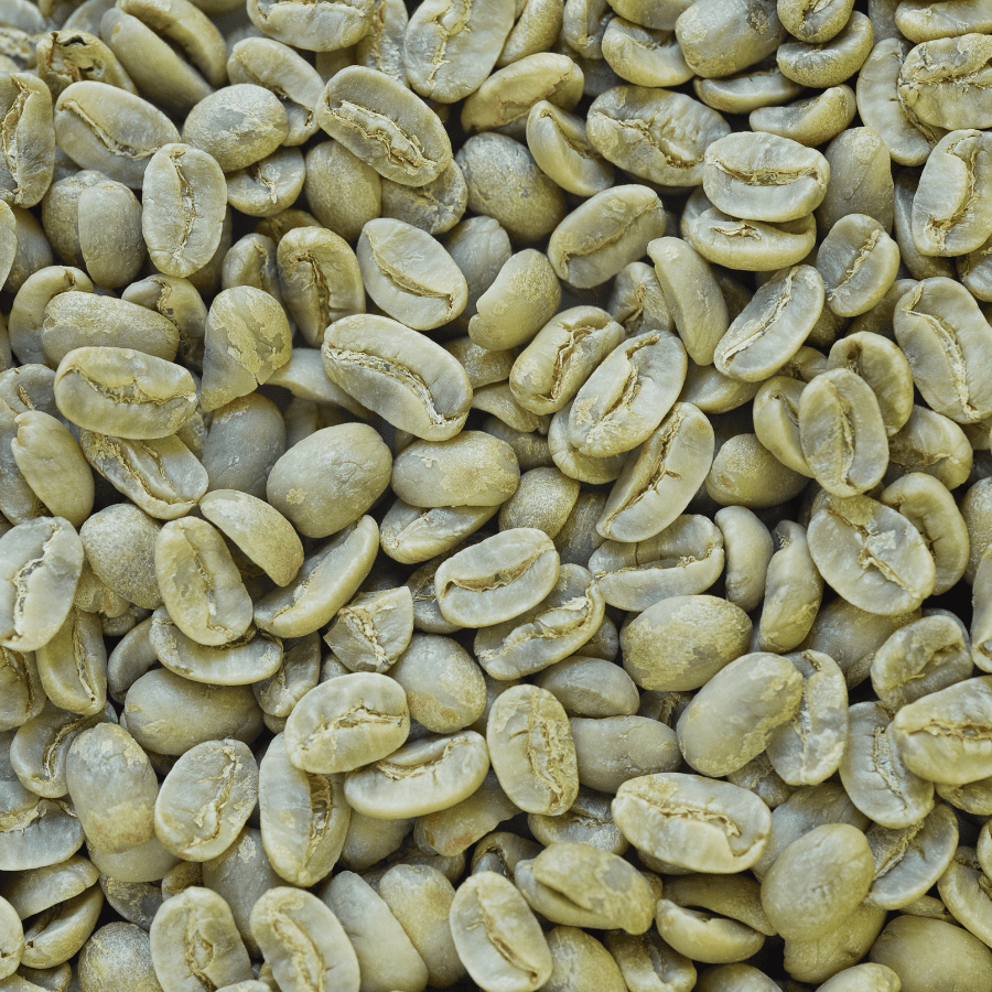 COFFEE BEAN - Image 2