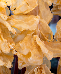 FISH MAW