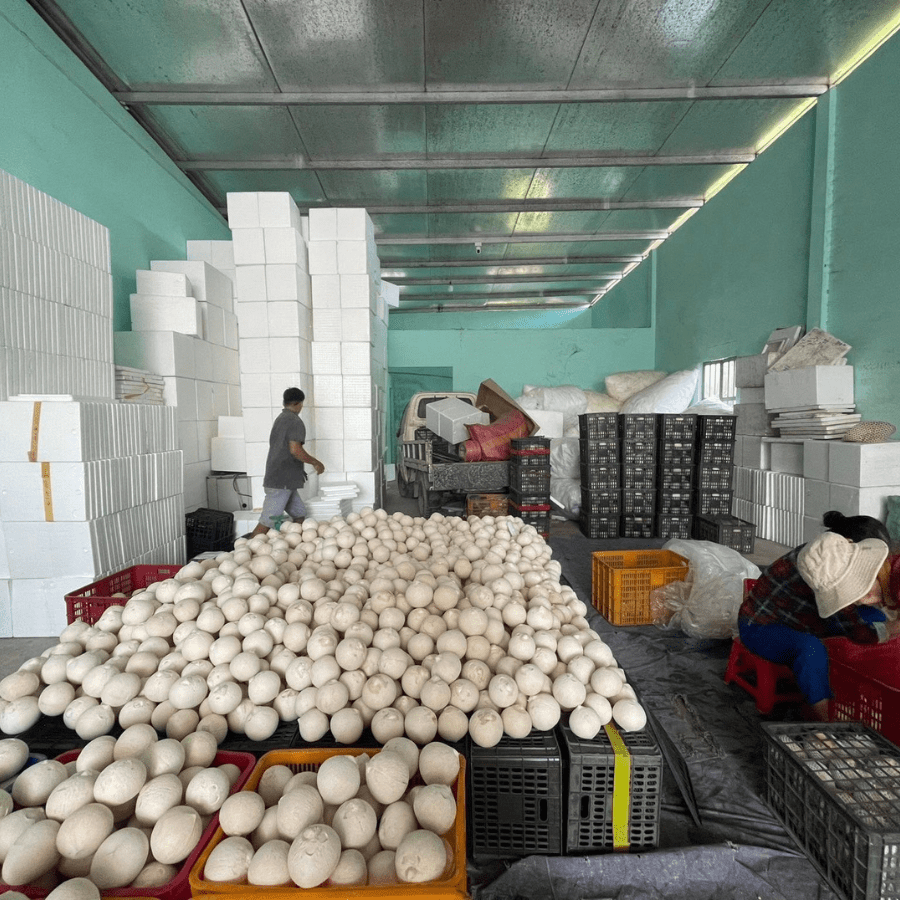 FRESH DIAMOND YOUNG COCONUT - Image 6