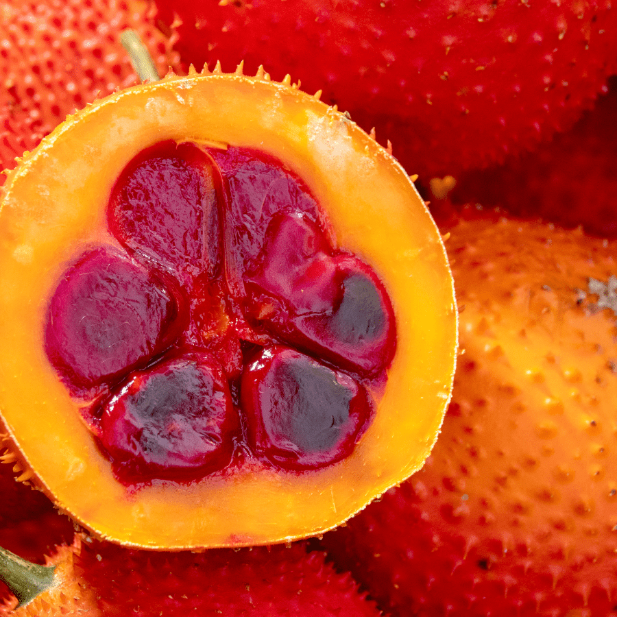 GAC FRUIT - Image 4