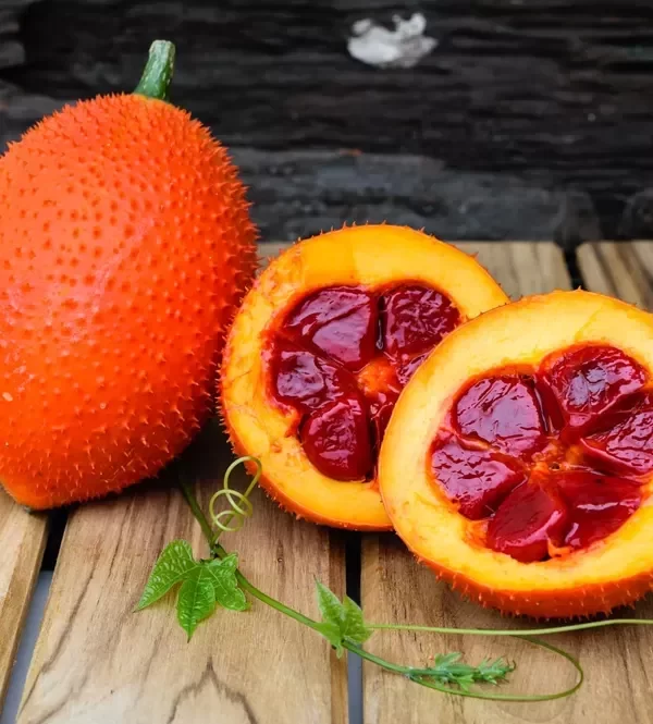 GAC FRUIT - Image 3