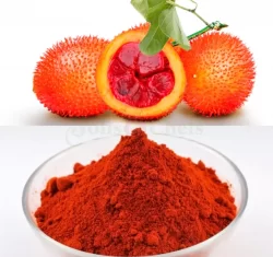 GAC FRUIT - Image 6