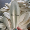 cuttlefish bone