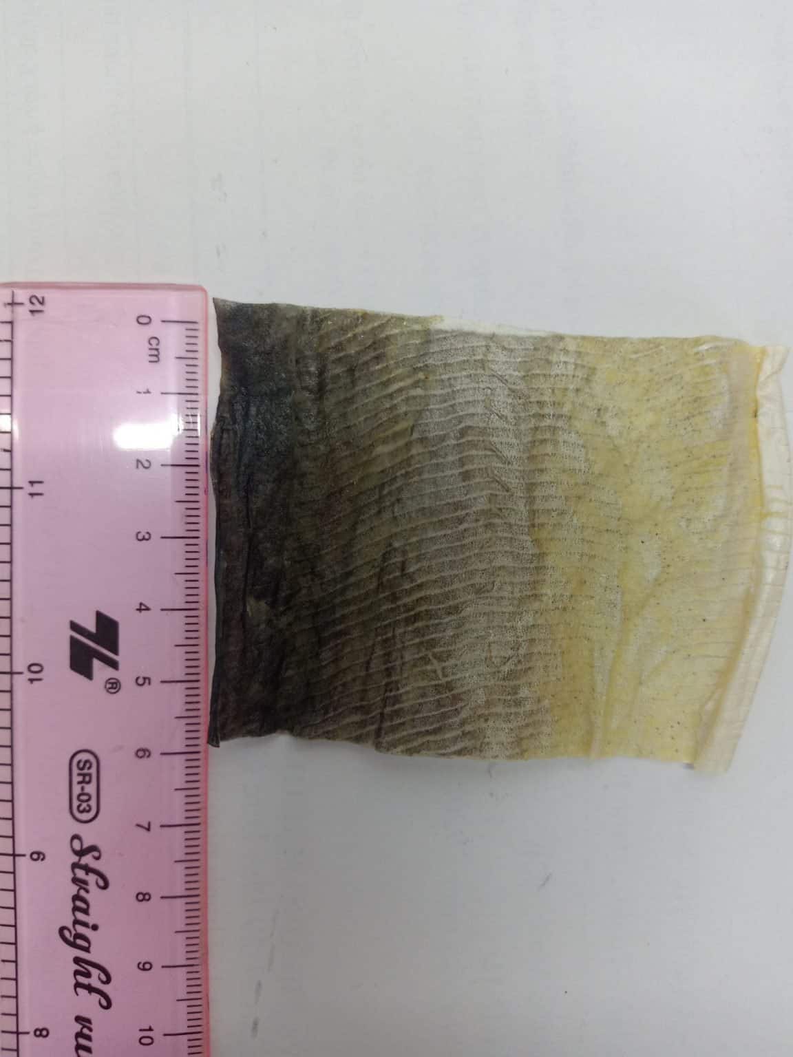 DRIED FISH SKIN - Image 3