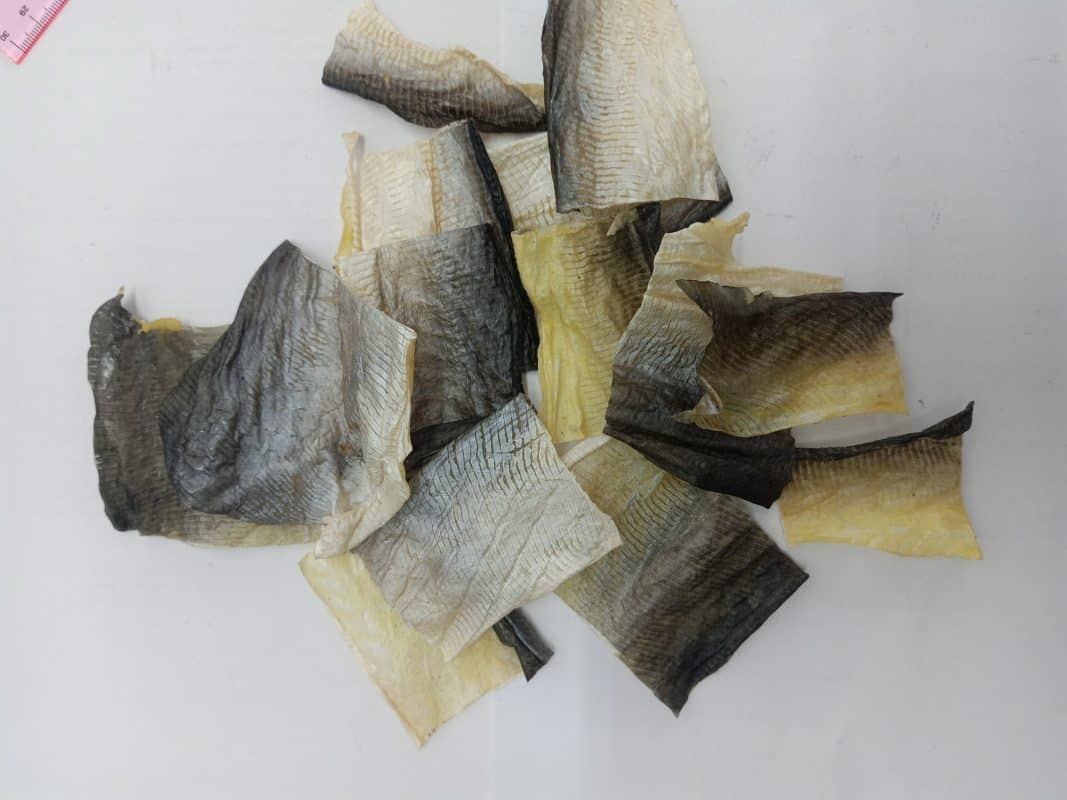 DRIED FISH SKIN - Image 2