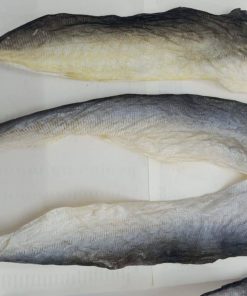 DRIED FISH SKIN
