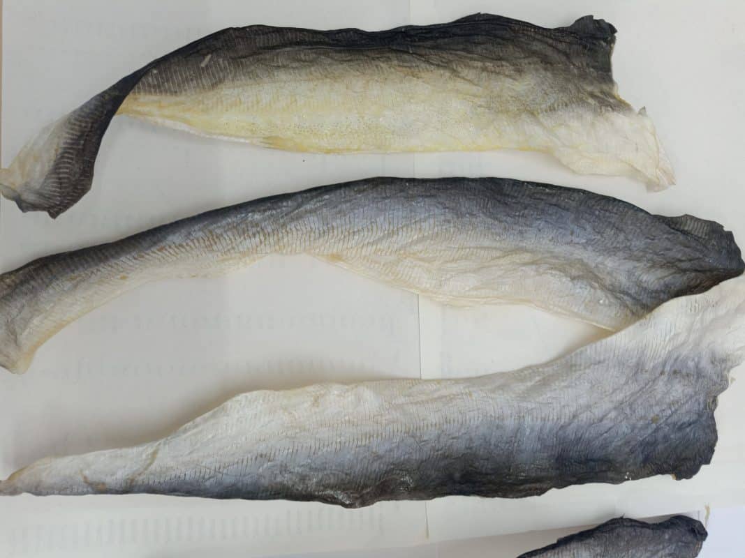 DRIED FISH SKIN