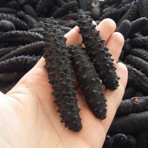 DRIED SEA CUCUMBERS - Image 3