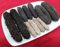 Alternative view of DRIED SEA CUCUMBERS