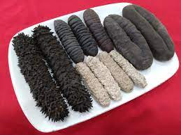 DRIED SEA CUCUMBERS - Image 2