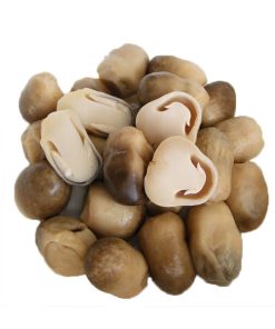 CANNED STRAW MUSHROOM