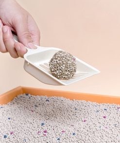 cat litter