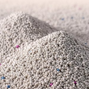 cat litter 