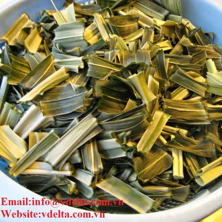 Pandan Leaves - Image 3