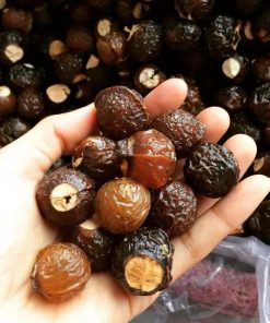soap nuts