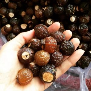 Soap Nuts
