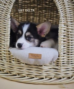pet bed house
