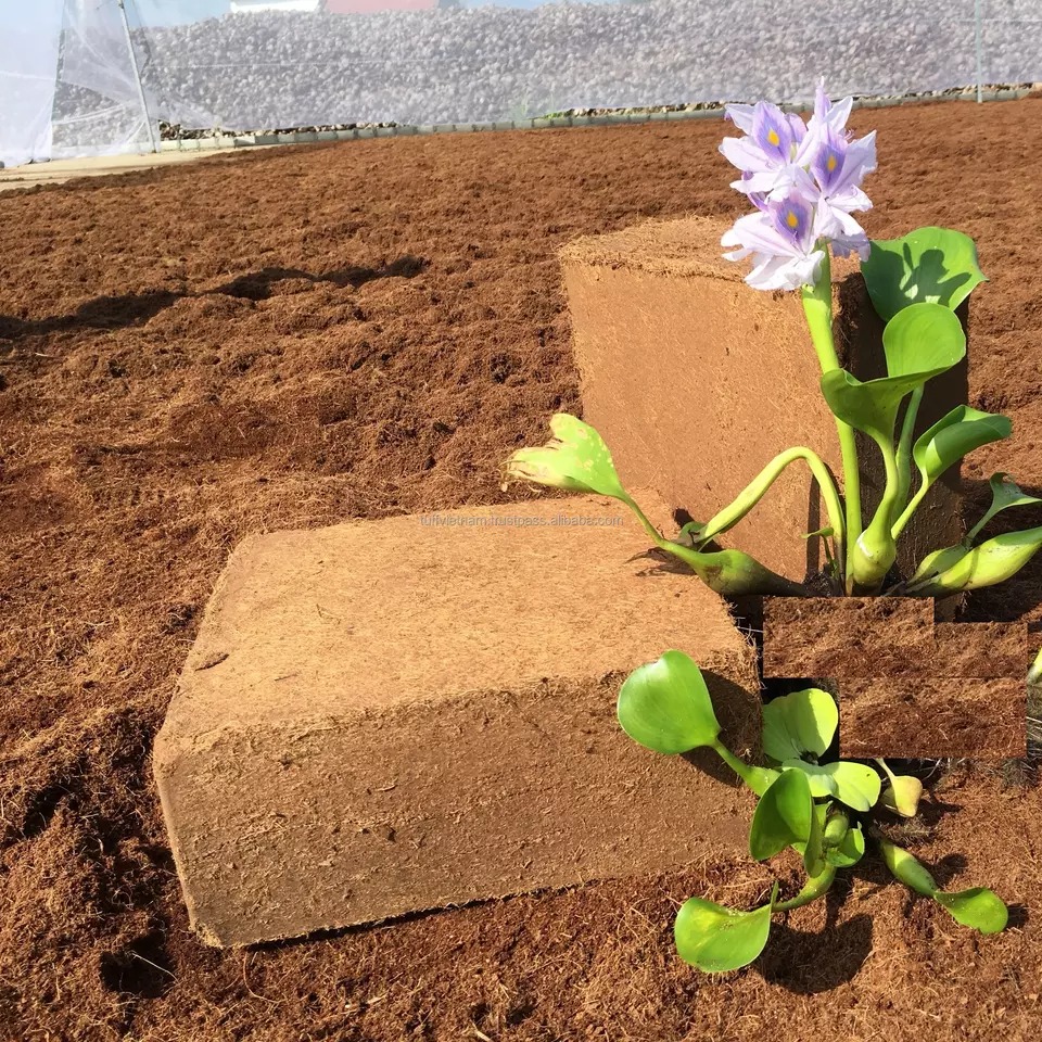 Cocopeat Block - Image 5