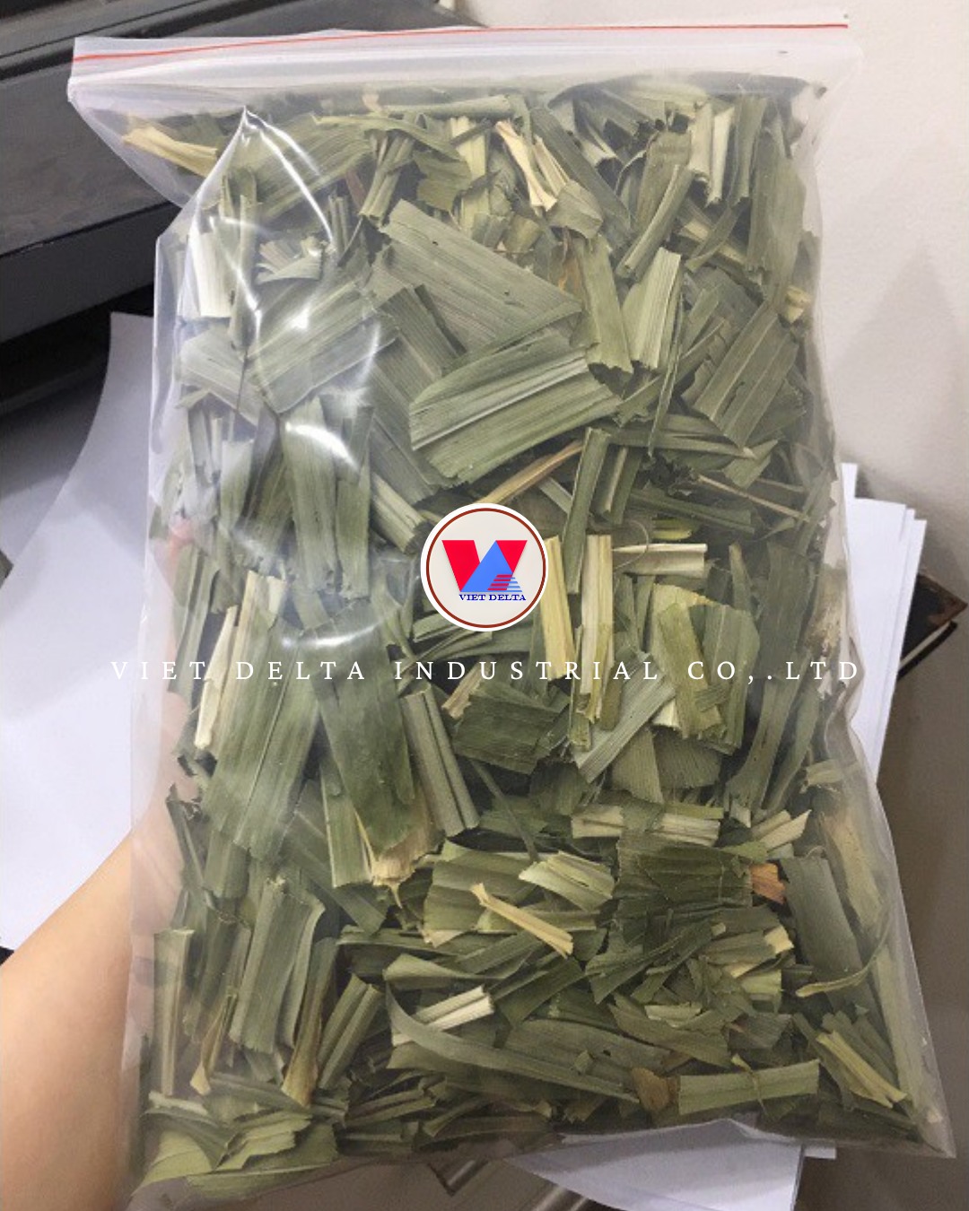 Pandan Leaves - Image 2