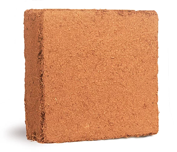 cocopeat