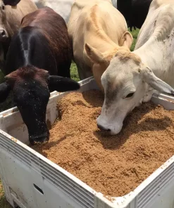 Alternative view of BEER RESIDUE