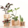 RATTAN PLANT STAND