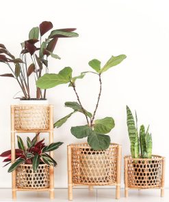 RATTAN PLANT STAND