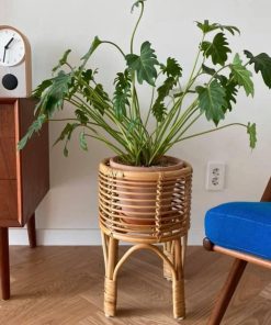 Alternative view of RATTAN PLANT STAND