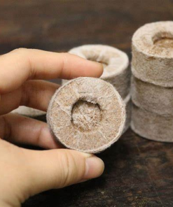 Alternative view of COCONUT COIR PELLET