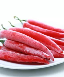 FROZEN RED CHILI