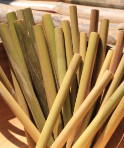 Alternative view of GRASS STRAWS