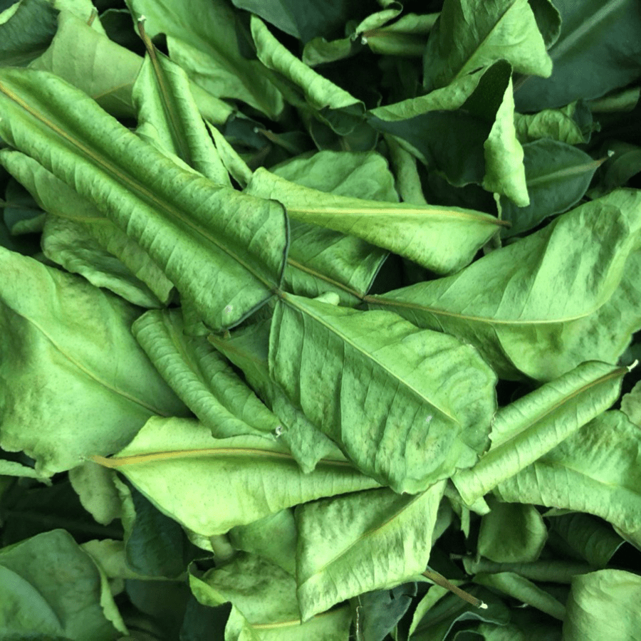 Lemon Leaves - Image 3