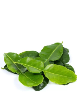 Lemon Leaves